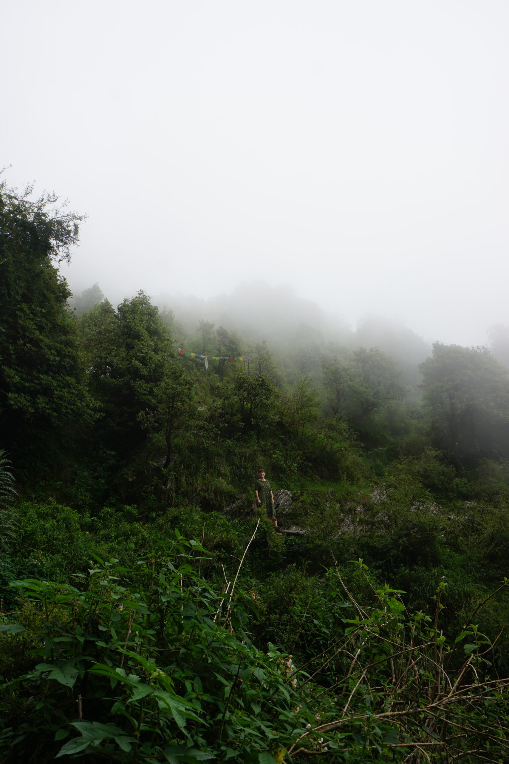 Triund, Dharamsala