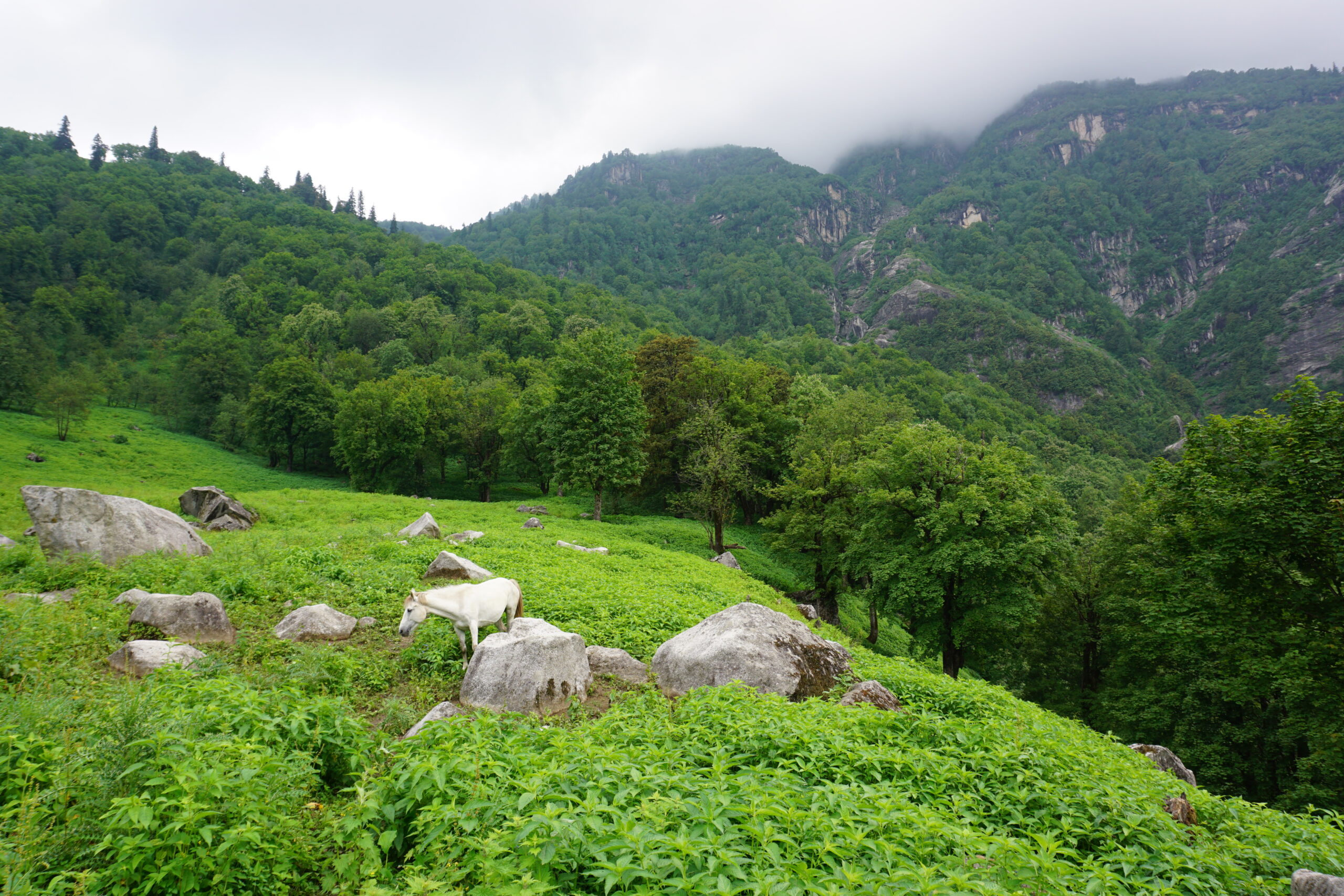 Lamadugh, Old Manali