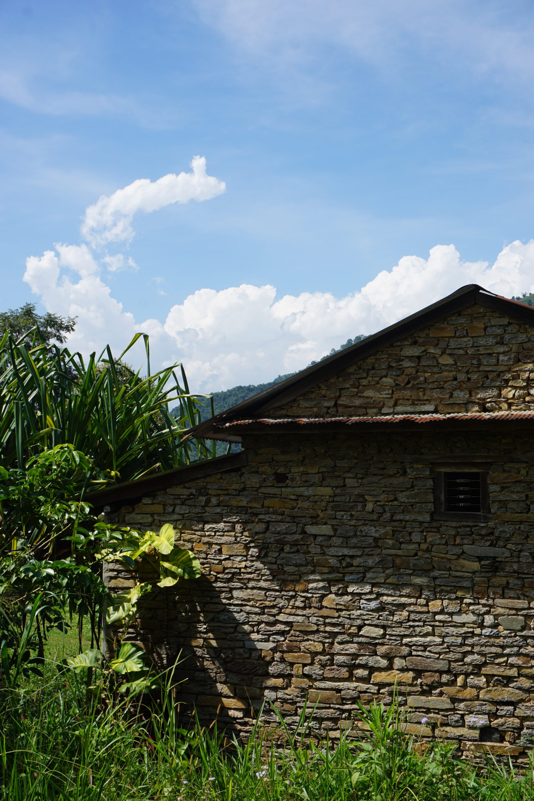 Pokhara