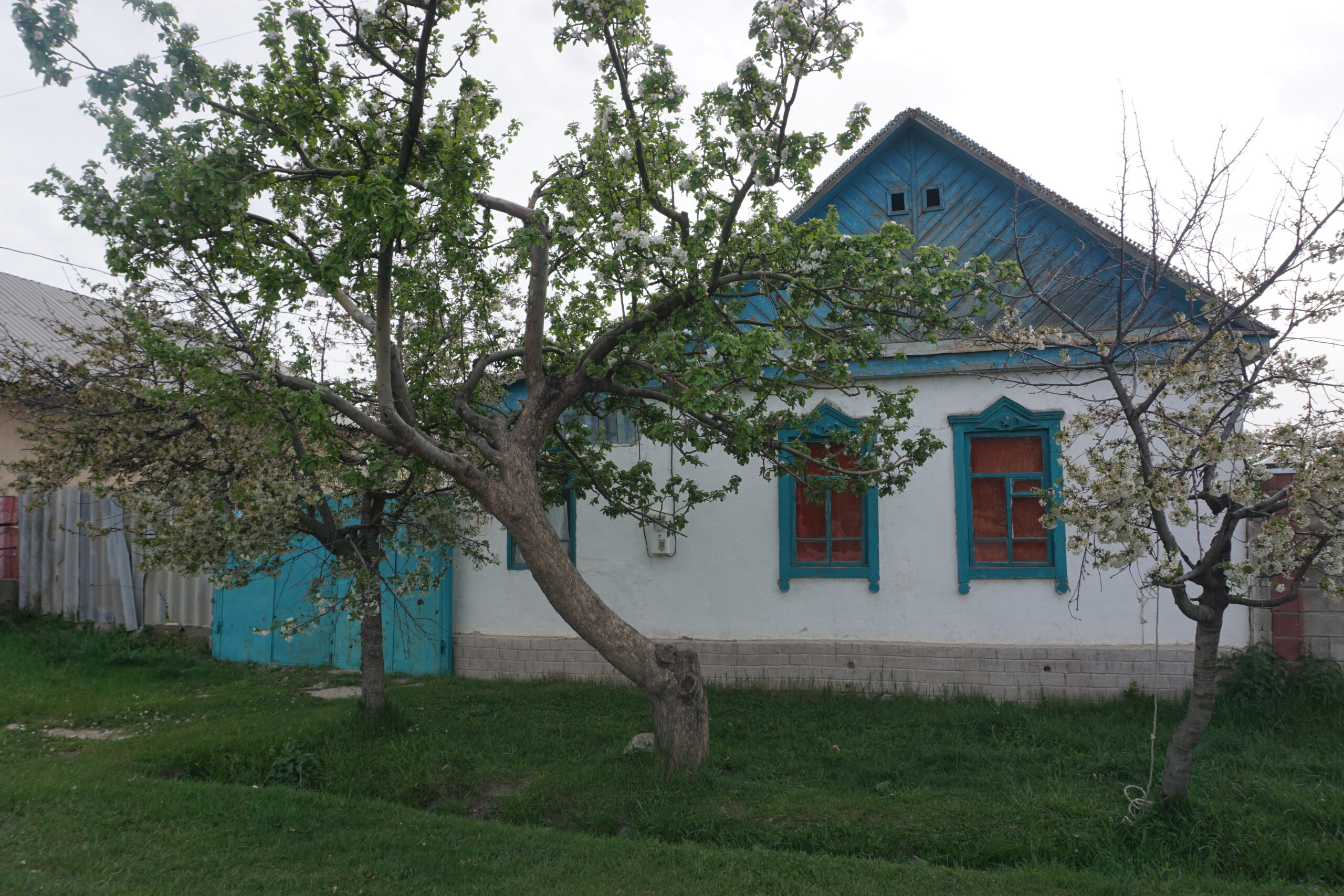 DSC06195